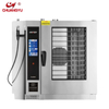 Steaming and Roasting Machine